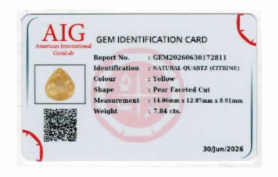 Gem Report