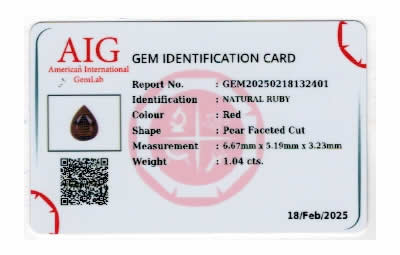 Gem Report