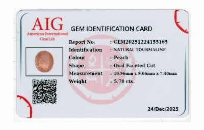 Gem Report