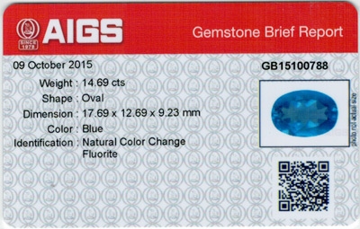 Gem Report