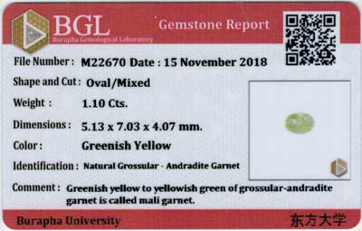 Gem Report