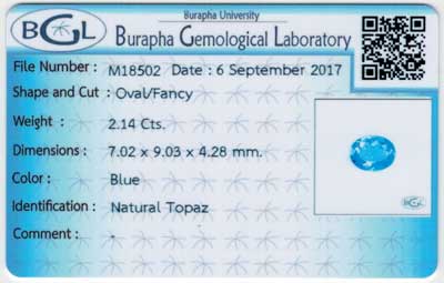 Gem Report