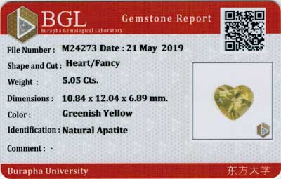 Gem Report