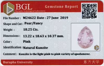 Gem Report