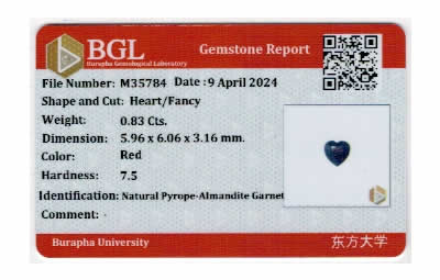 Gem Report