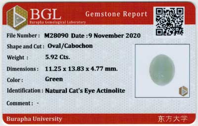 Gem Report