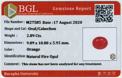 Gem Report