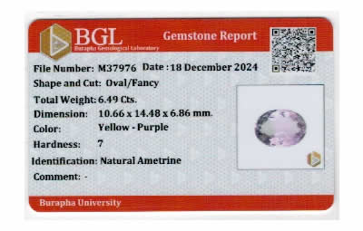 Gem Report