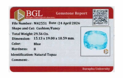 Gem Report