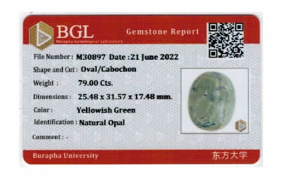 Gem Report