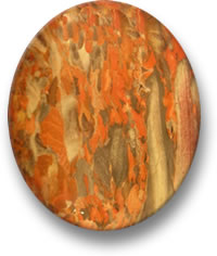 Escocês Jasper Cabochão