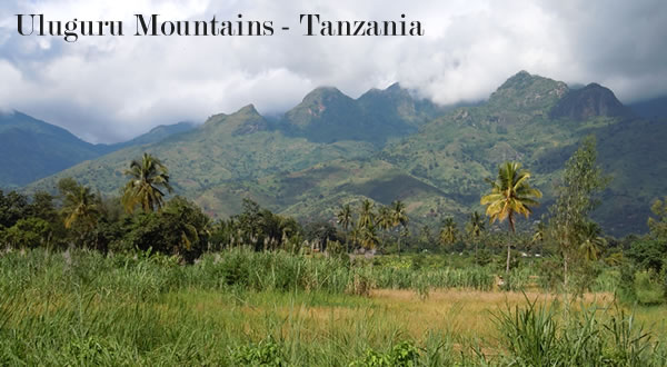 Fotos das montanhas Uluguru da Tanzânia
