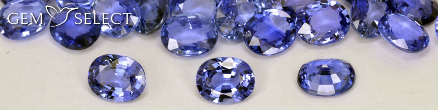 Um monte de pedras preciosas de safira azul da GemSelect