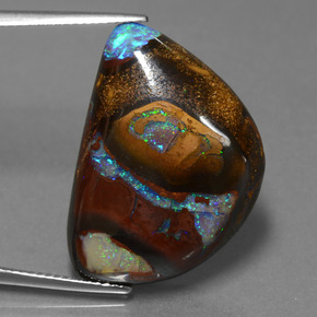 Boulder Opal de GemSelect - Imagem Grande