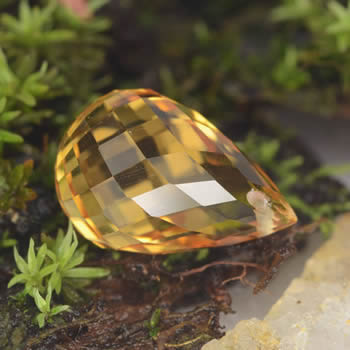 Briolette de Citrino
