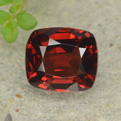 Pedra preciosa de espinélio vermelho com corte almofadado de 1 quilate