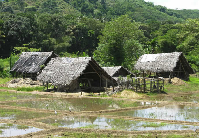 Uma foto de uma mina de safira no Sri Lanka - Imagem grande