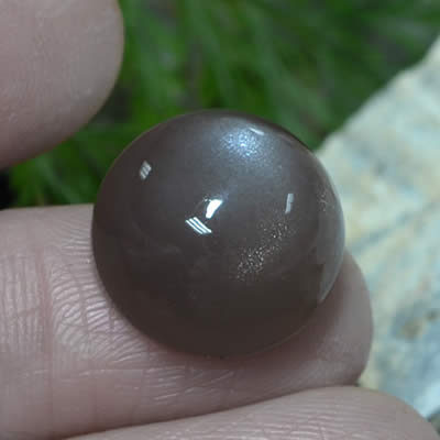 Cabochão de pedra da lua Mocha