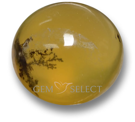Pedras preciosas de opala de musgo da GemSelect - imagem grande