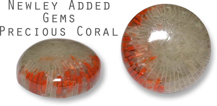 Uma preciosa pedra coral da GemSelect