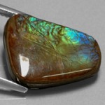 Ammolite de corte simples