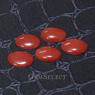 Cabochons de coral precioso