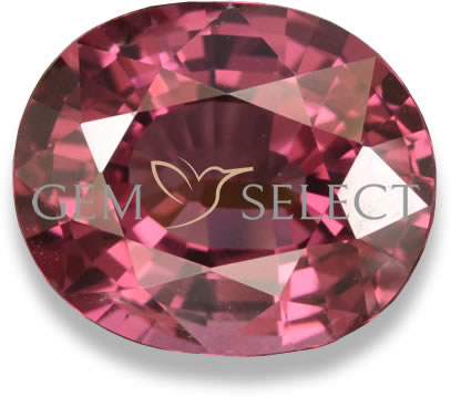 Uma pedra preciosa de granada rodolita da GemSelect - Imagem grande