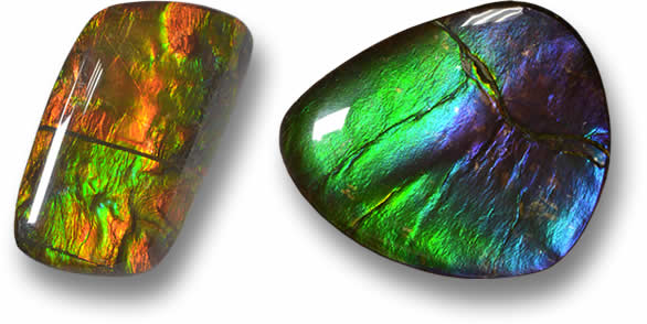 Ammolite solta à venda