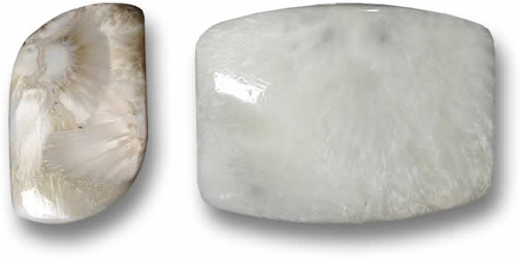 Escolecite solta para venda