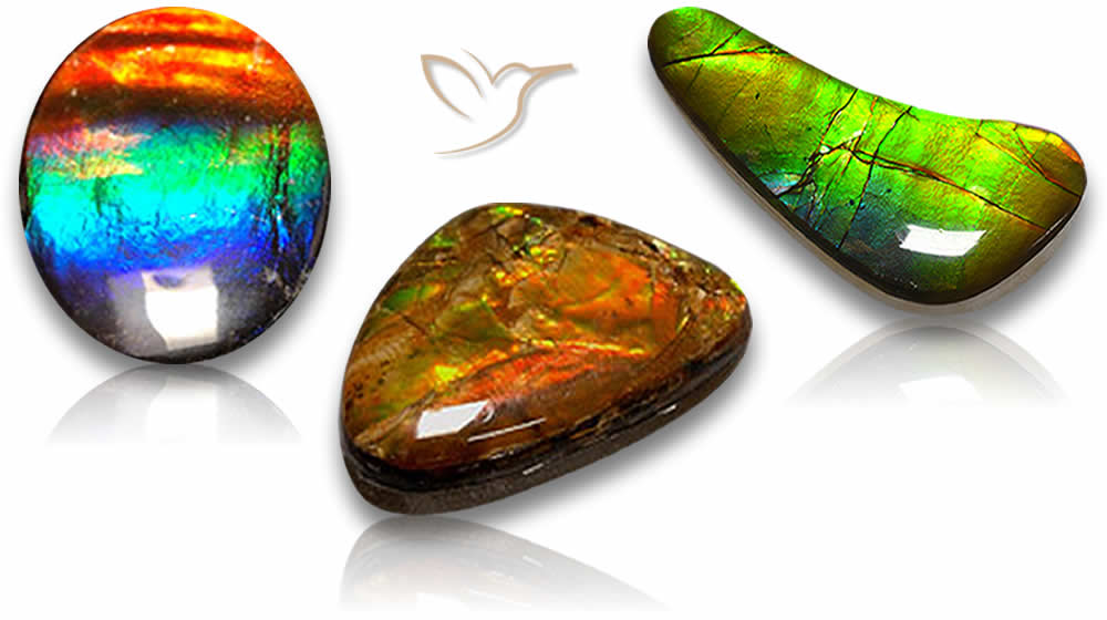 Dupletos Ammolite