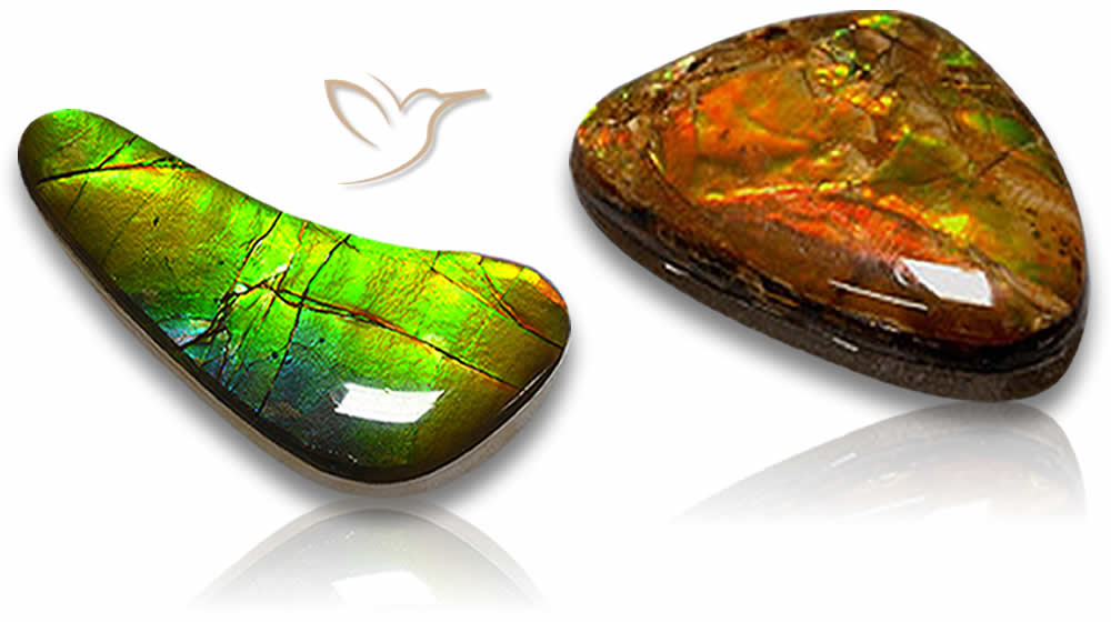 Dupletos Ammolite