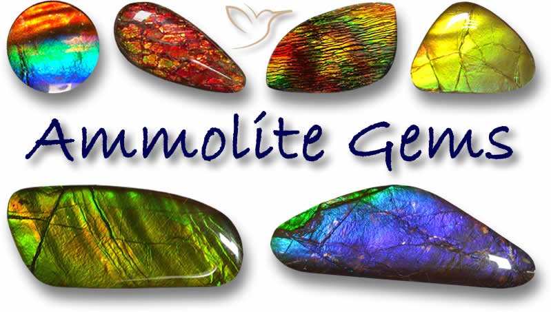Compre pedras preciosas Ammolite