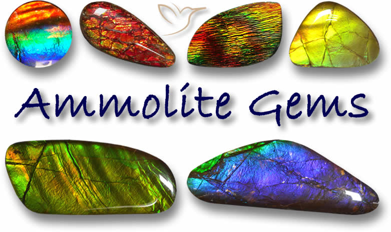 Comprar Ammolite