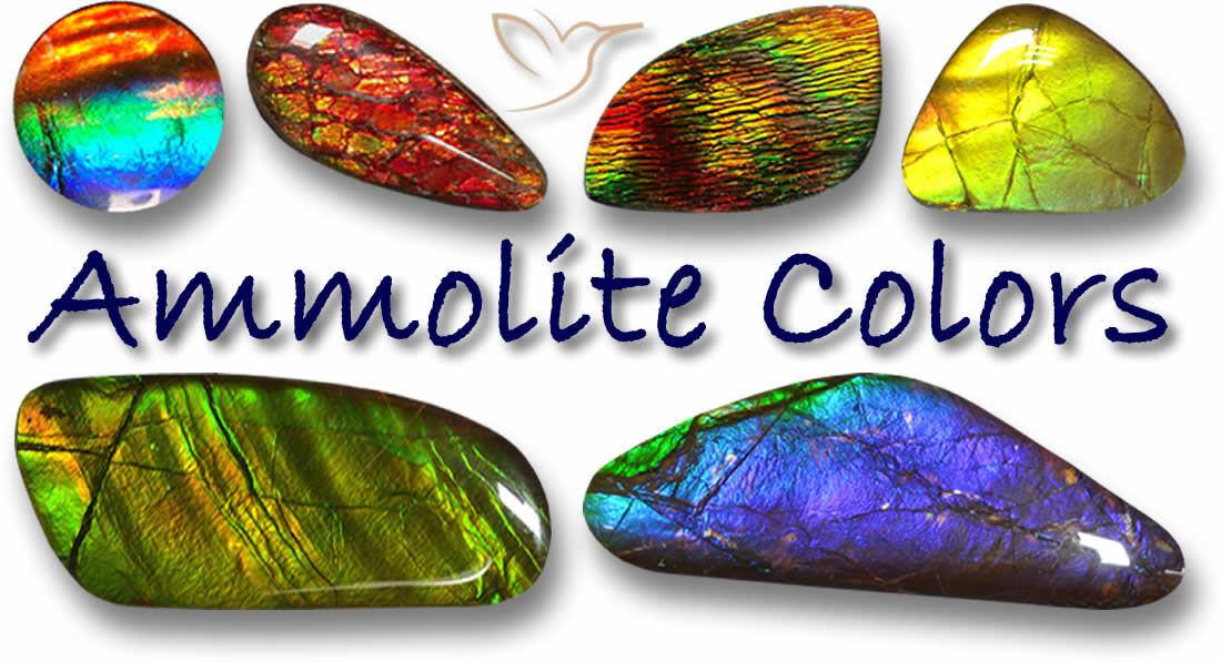 Comprar Ammolite