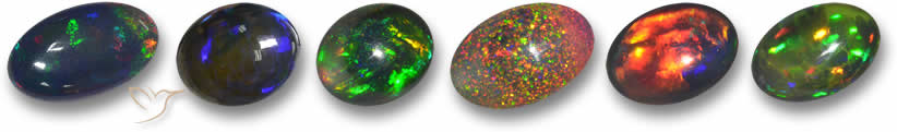 Gama de cores Black Opal
