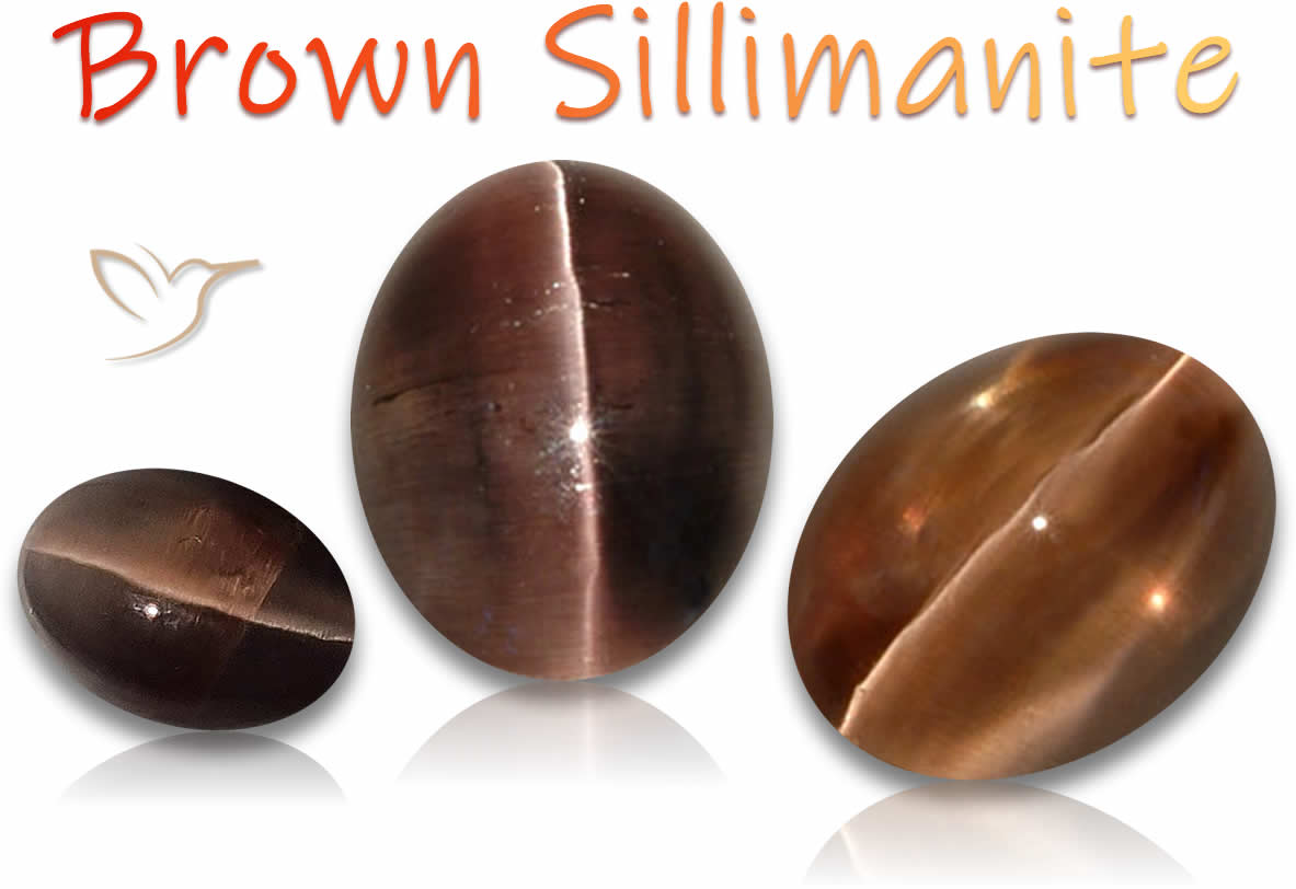 Compre Silimanite Marrom