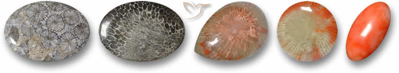 Pedras preciosas de coral