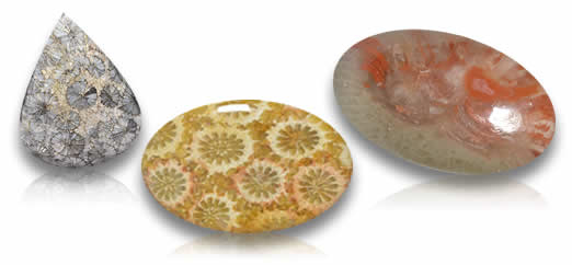 pedras de coral