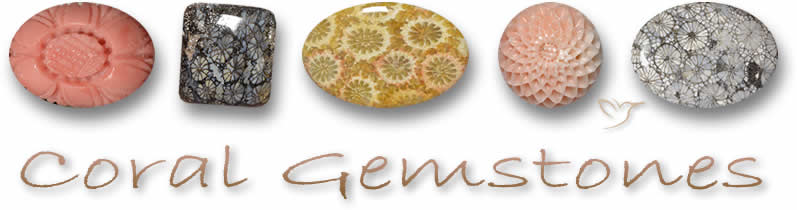Compre pedras preciosas de coral