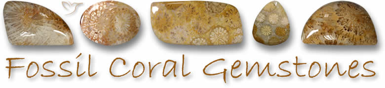 Gemas de Coral Fóssil