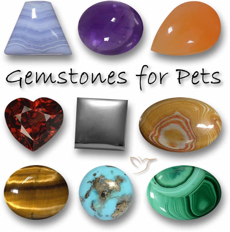 Pedras preciosas para animais de estimação