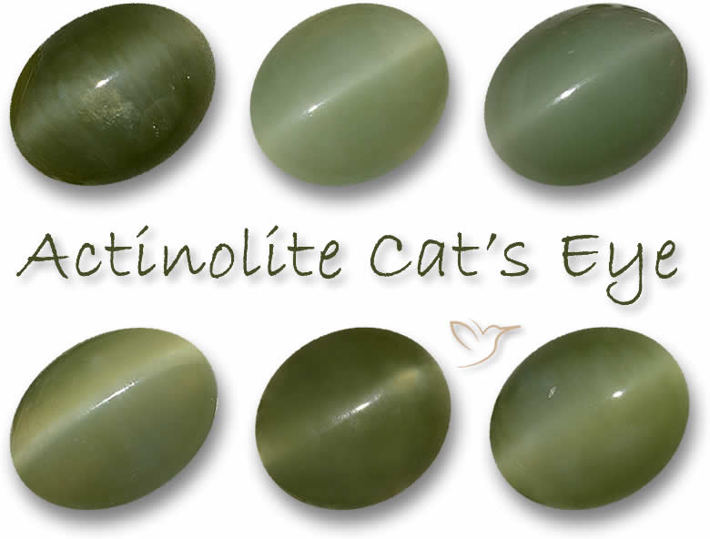 Pedras preciosas olho de gato de actinolita verde