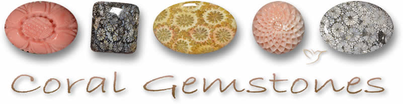Compre pedras preciosas de coral