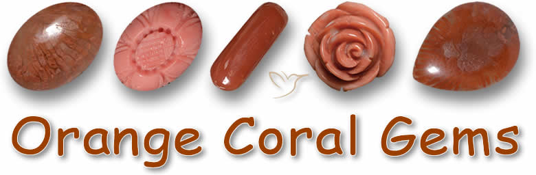 Compre pedras preciosas de coral laranja