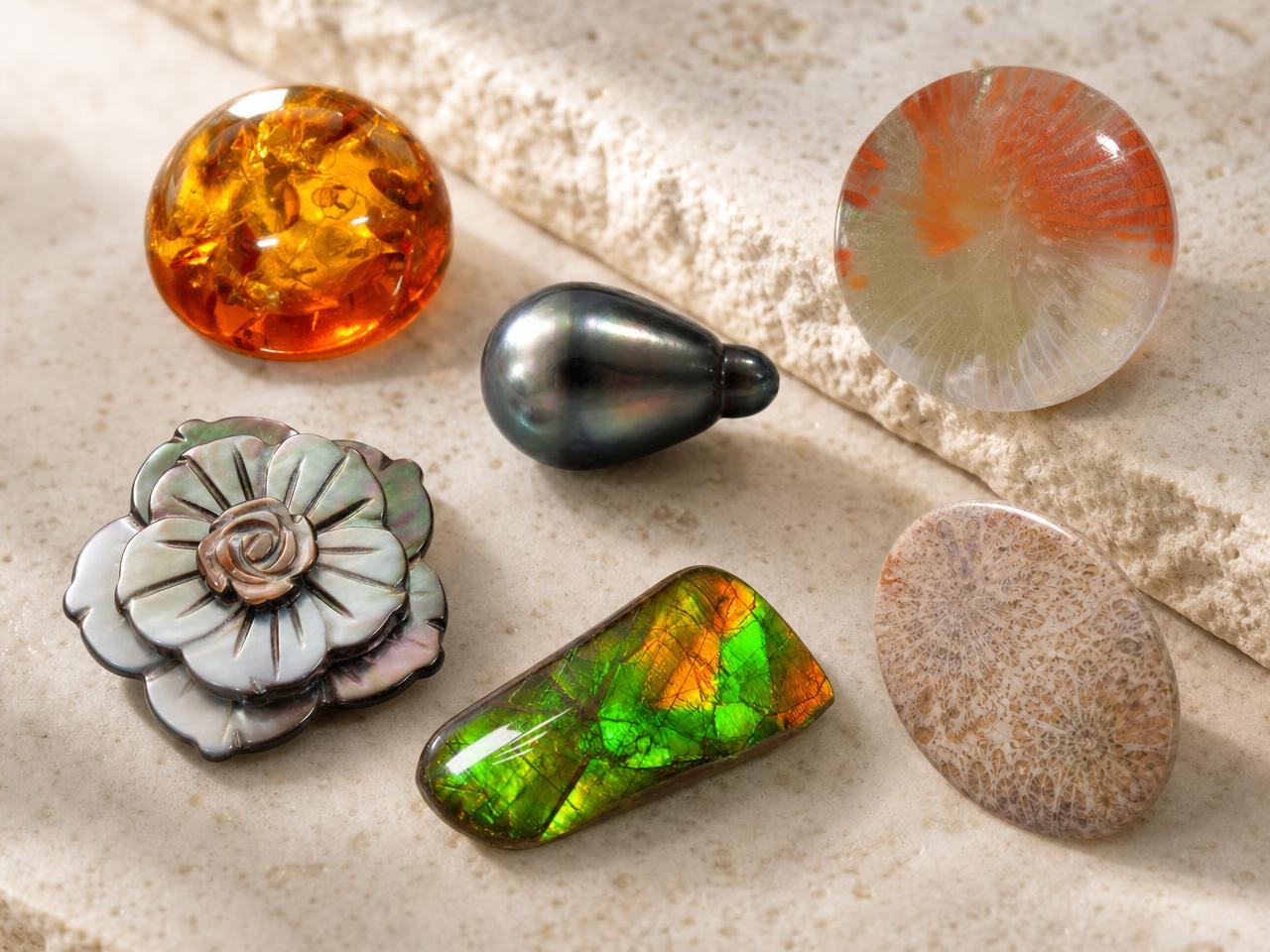 Variedade de pedras preciosas orgânicas, incluindo pérolas, âmbar, corais e conchas.