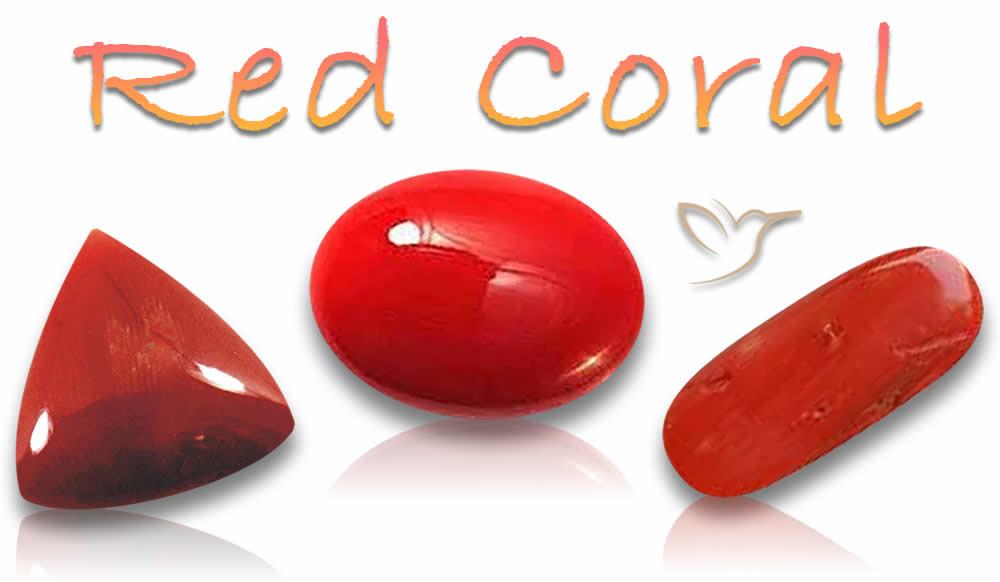 Compre pedras preciosas de coral vermelho