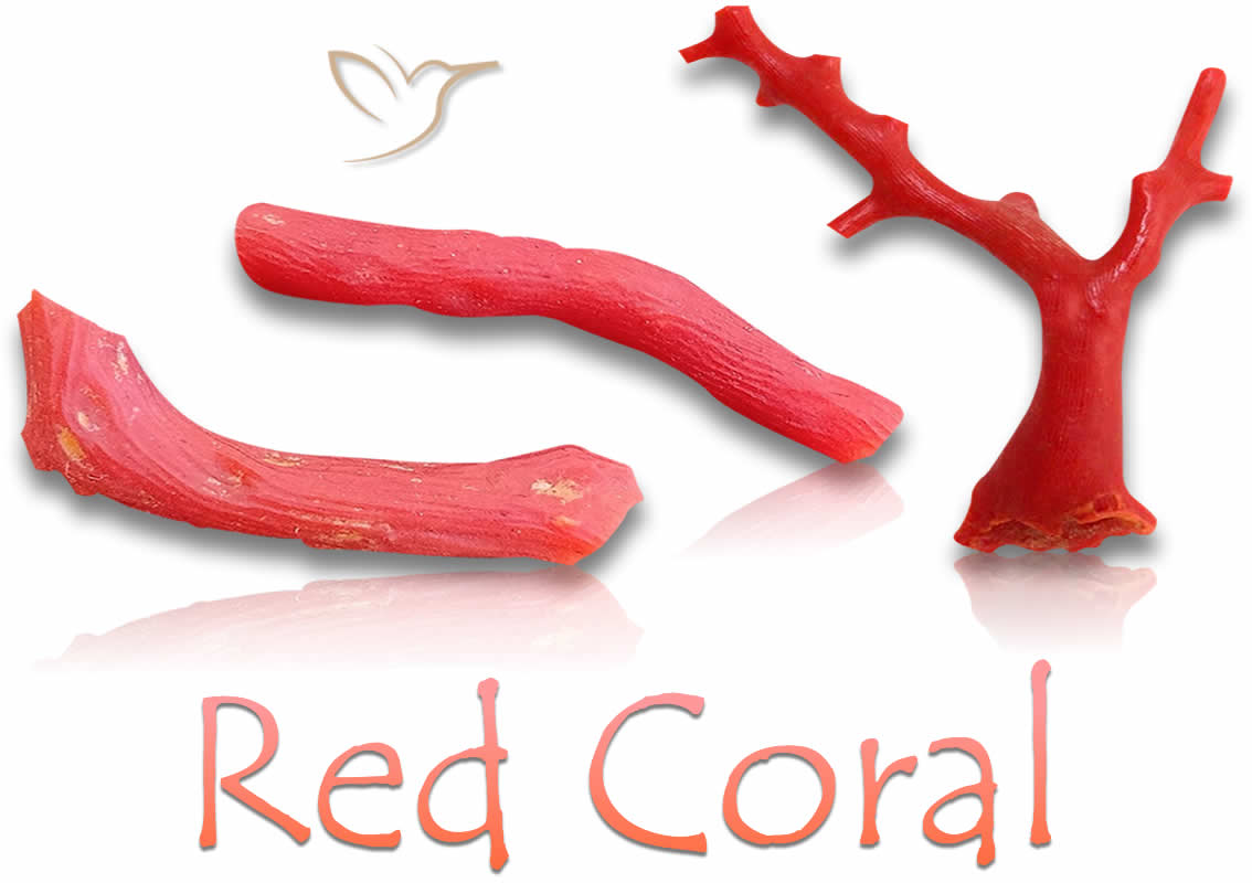 Pedras de coral vermelhas ásperas