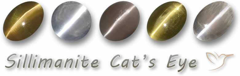Compre pedras preciosas de olho de gato de sillimanita