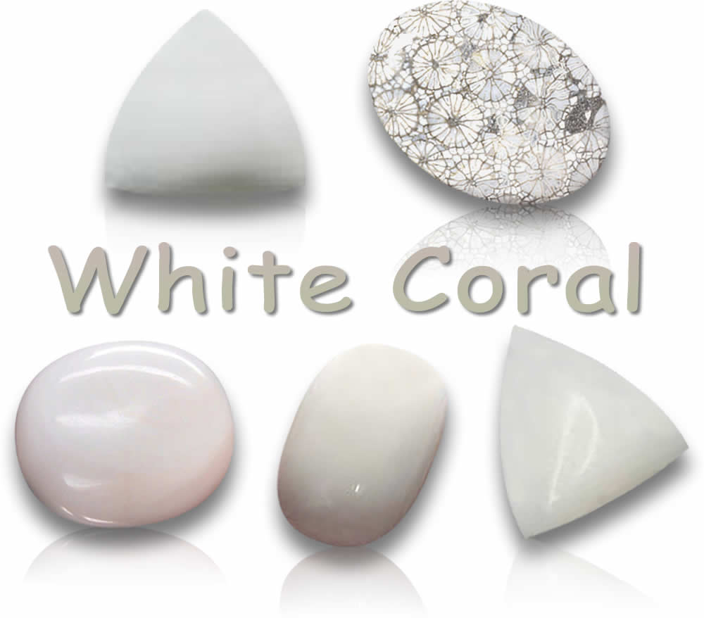 Pedras preciosas de coral branco natural