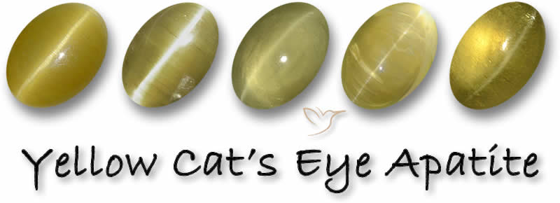 Compre pedras preciosas de apatita de olho de gato amarelo